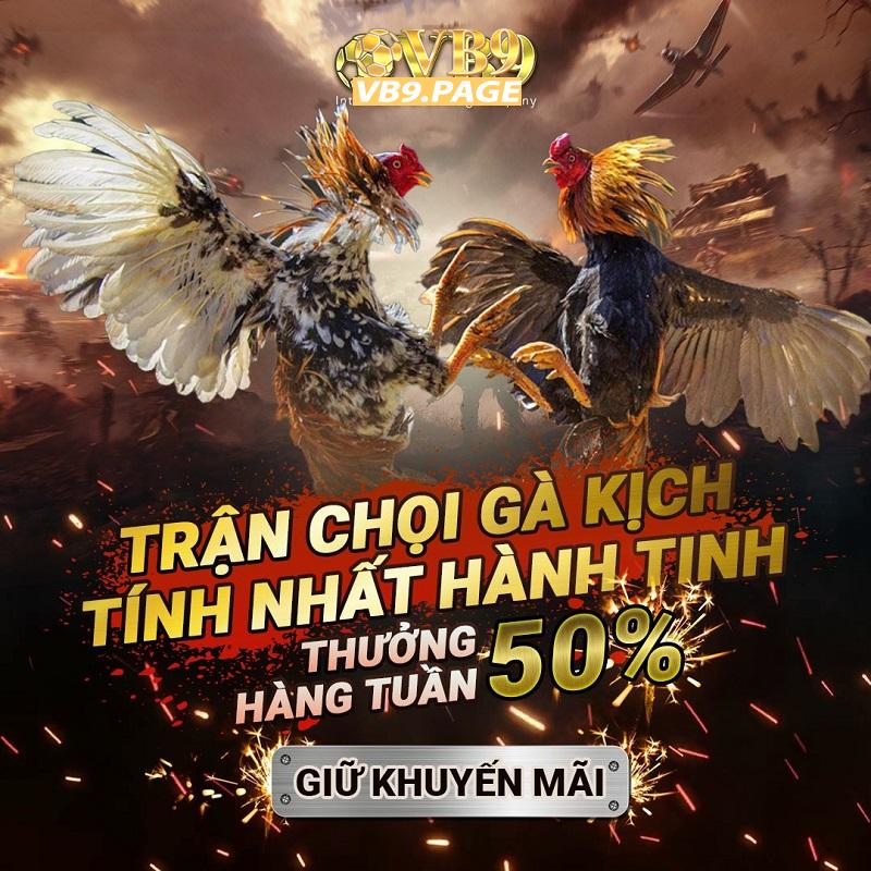 Những ưu điểm khi tham gia cá cược tại nhà cái đá gà trực tuyến VB9